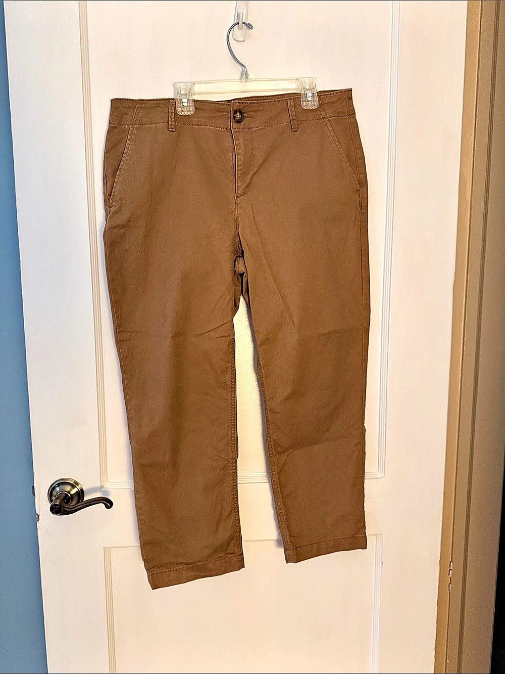 LOFT Ankle Pants in Brown Size 10P